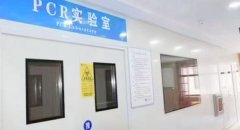 PCR检查主要是检测什么?